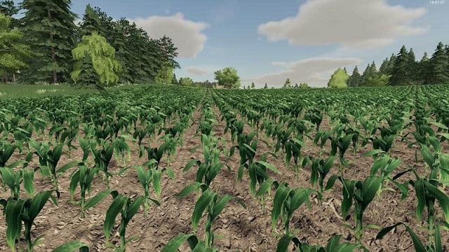 How to grow Seeds on Farming Simulator 22.jpeg