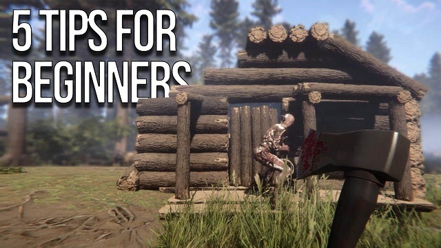 Sons of the Forest Beginner Guide How to Survive on the Island in Sons of the Forest.jpg