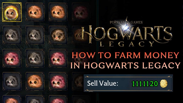 Hogwarts Legacy Guide How to Earn More Money in Hogwarts Legacy.jpg