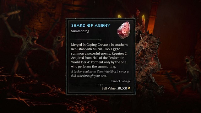 Diablo 4 Item Guide How to Obtain Shards of Agony in Diablo IV.jpg