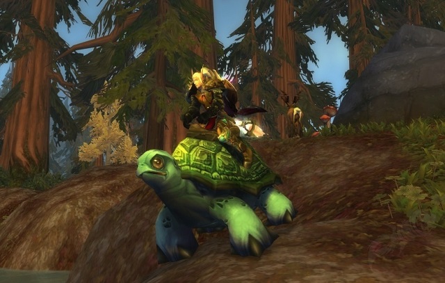 Sea Turtle