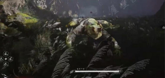 波里个浪 波里个浪