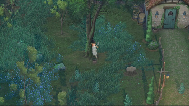 欢欣森活世界 欢欣森活世界