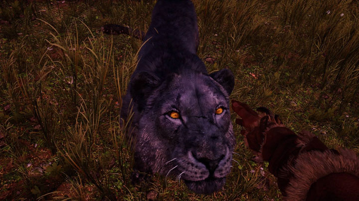 尽快驯服大型猛兽 尽快驯服大型猛兽