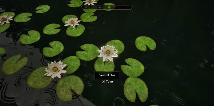 Ingredientes de alquimia Ingredientes de alquimia