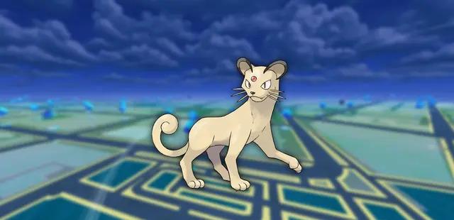 Shadow Persian Shadow Persian