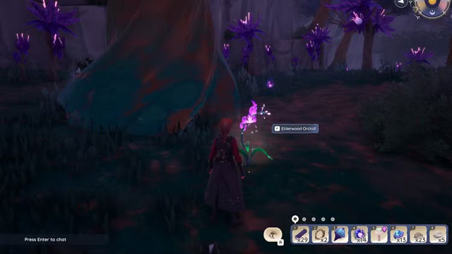 Harvesting Elderwood Orchids