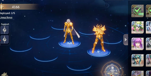 Build a Balanced Team with Multiple Roles