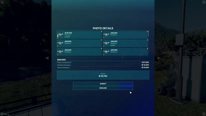 Use Photography to Your Advantage