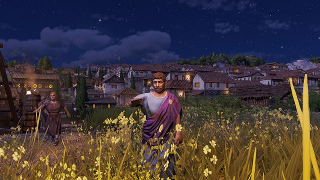 实施高效的城市布局与公共服务