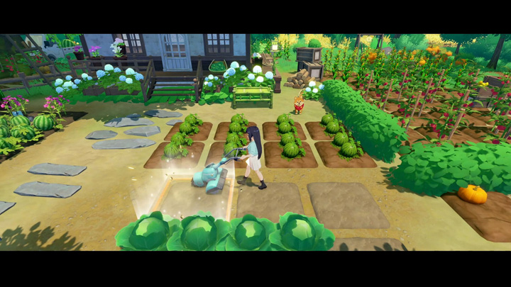 扩地后的注意事项 扩地后的注意事项