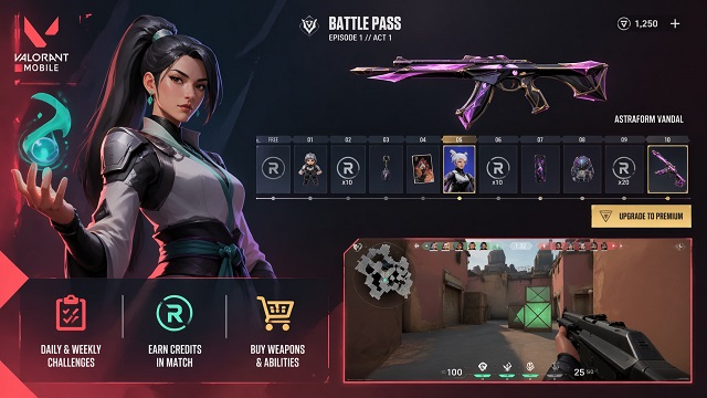 Progression, Cosmetics & In‑Game Economy