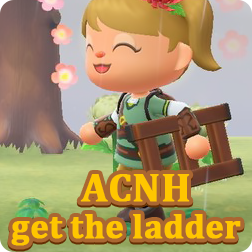 Animal Crossing: New Horizons Tips and Tricks: How to Get the Ladder in ACNH